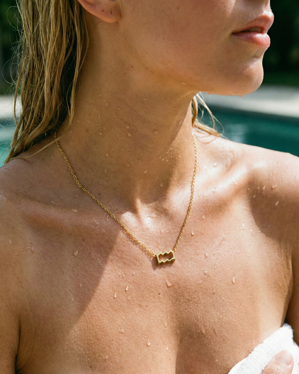 Zodiac Sign Necklaces