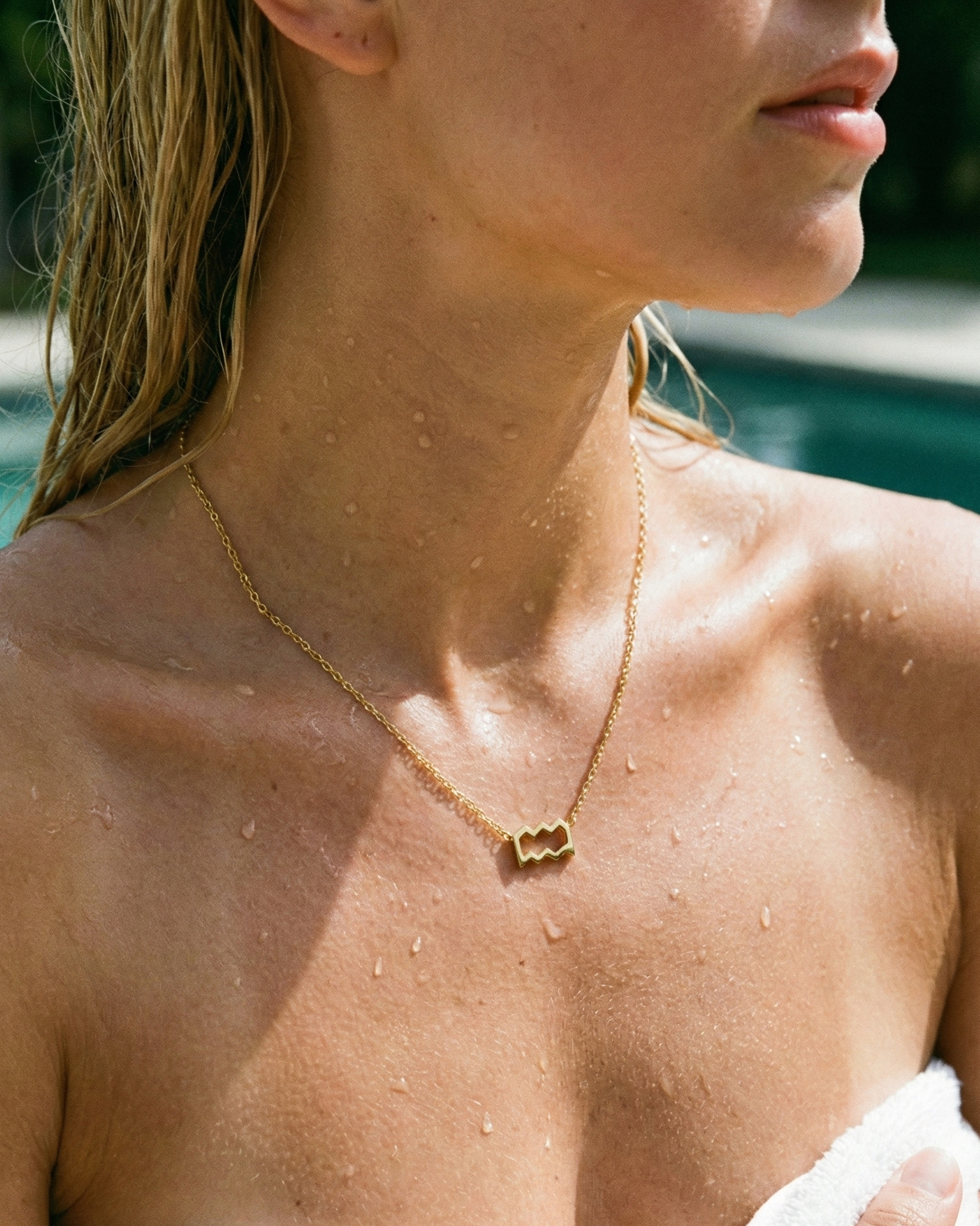 Zodiac Sign Necklaces